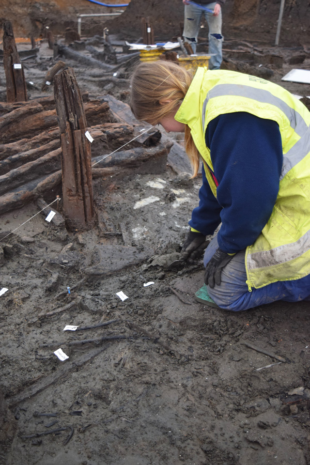 Working shot showing the beginning of the excavation of the occupation deposit.