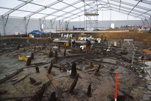 Image showing the overlap of the large causeway timbers and the smaller uprights from RH 5 in the foreground of the photo. 