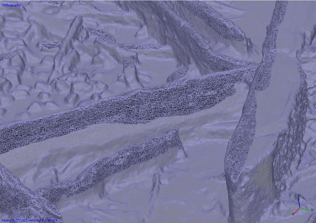 Screenshot of mesh image stage of the photogrammetry process. These are horizontal timbers from the wood mass deposit.