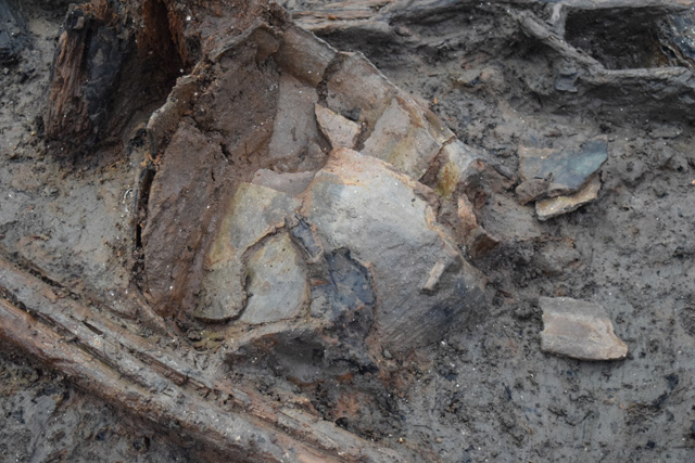 Image of broken, large coarseware vessel. These jars tended to fall into the river sediments and land on their side, resulting in them breaking as a result of the weight of the sediment as it accumulated. 