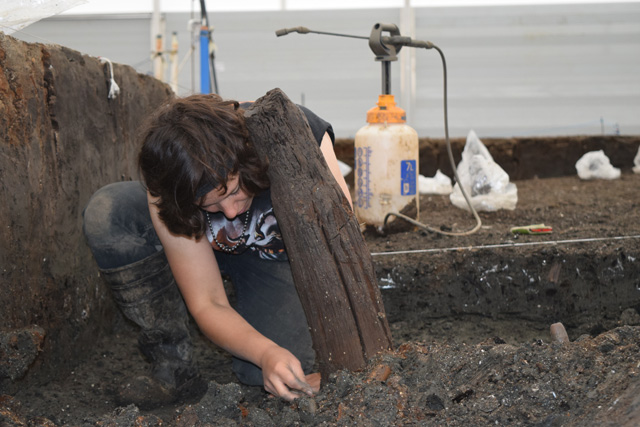 Image from beginning of excavation showing the initial uncovering of an oak supporting upright.