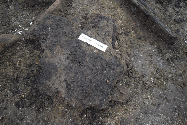 Burnt clump of turf-like material. The quantities we are finding this material in suggest a turf roof rather than a reed thatch.