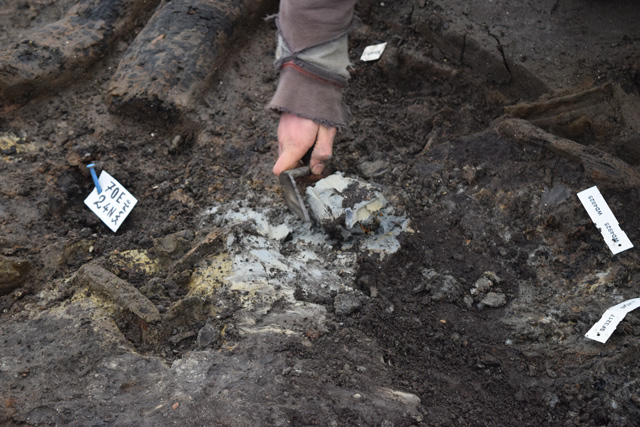 The unburnt clay is often found in smaller, isolated patches. This leads us to question the idea of it belonging to a central hearth. However, we are not ruling out this possibility and are geochemically sampling it.