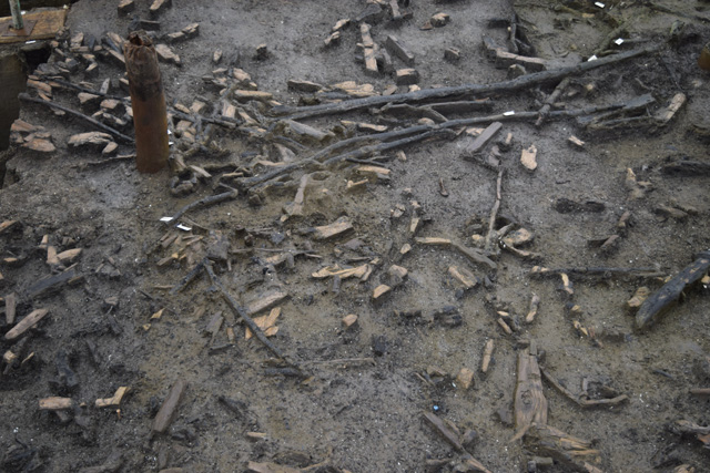 Hundreds of woodchips from the construction of the palisade. Recording these in detail is essential and we hope to spot patterns in their distribution to tell us about the construction process. 