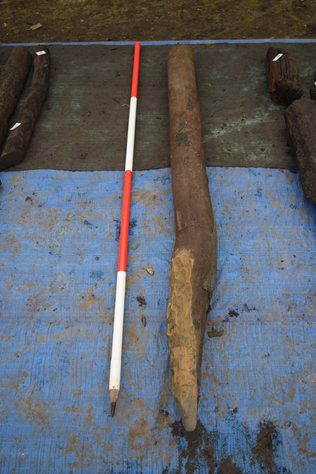 Image of one of the structural uprights from Roundhouse One. This one measures approximately 2m although many are longer.