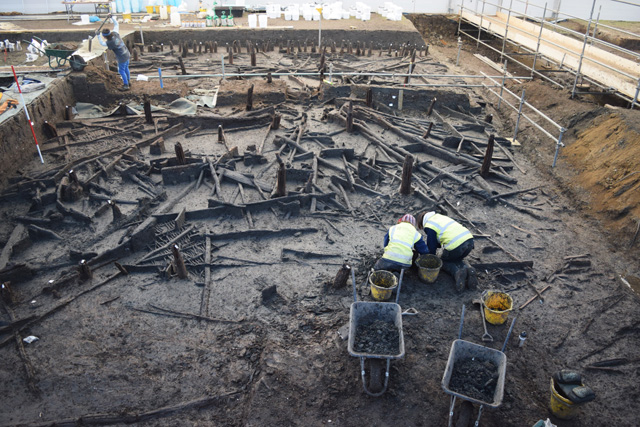 An image from early on in the excavation showing some of the wood mass. The sheer quantity of wood needed for the settlement would have required careful planning and resource management