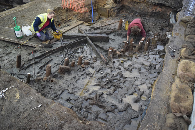 Image showing early excavation to uncover the burnt debris and the palisade in the eastern area of the settlement. In the foreground is one of the areas of animal and human footprints around the outside of the palisade. 