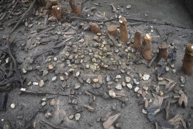 Area of mostly small-sized stones grouped around the inside of the palisade. These small clusters of stones are occasionally found elsewhere on the site.