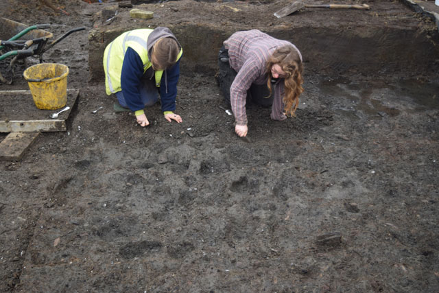 Outside the palisade at the eastern area of site there is very little material. Was the debris from the settlement contained by the palisade?