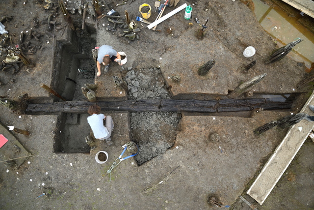 Image showing the enormous size of some of the causeway posts, this giant oak timber is even larger than pictured!