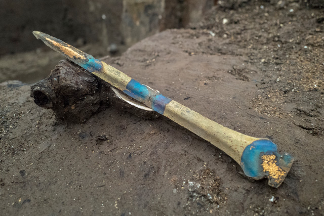 Bronze Age rapier found in river sediments linked to the causeway. The blue colouration is a result of alkaline-rich silts in the river causing a form of corrosion on the metal