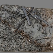 A 3D model of one area of the Must Farm pile-dwelling settlement showing some of the timber debris, the palisade and an area of preserved footprints.